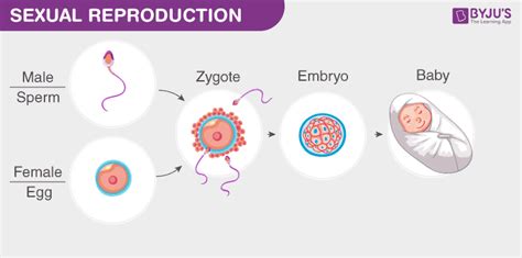 What are the actual differences between reproduction and .
